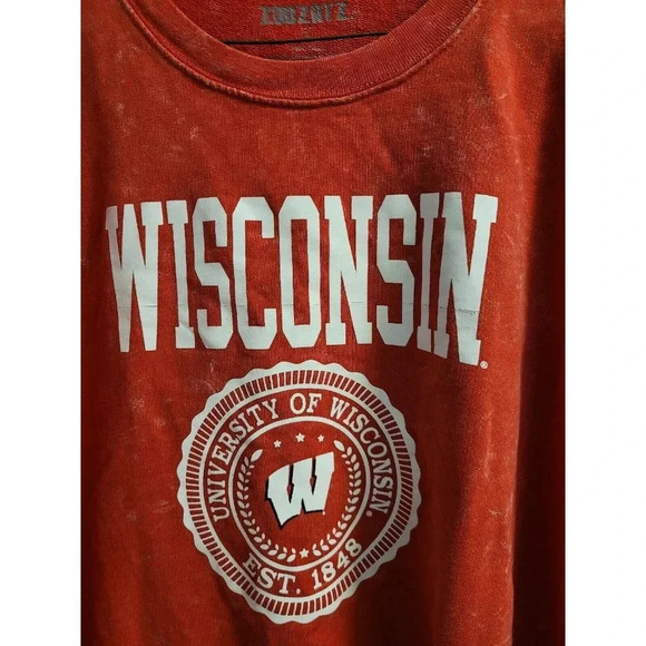 University of Wisconsin Badgers Distressed Sweatshirt Men's Small Long Sleeve - Picture 10 of 16